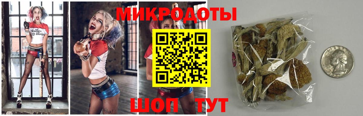 Галлюциногенные грибы Psilocybine cubensis Сокол