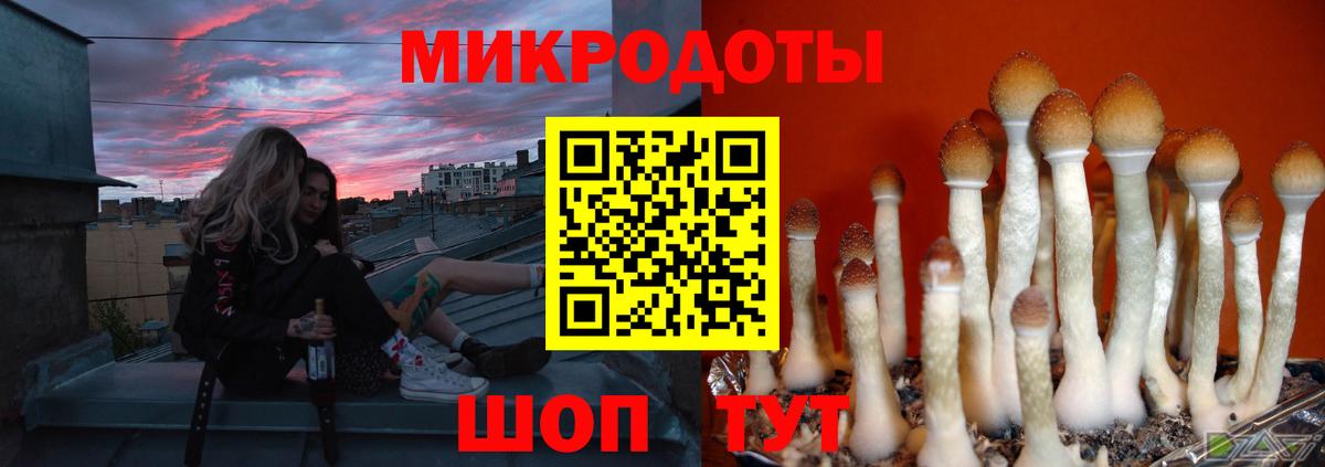 Сокол  Галлюциногенные грибы Psilocybe  Вход с VPN 
